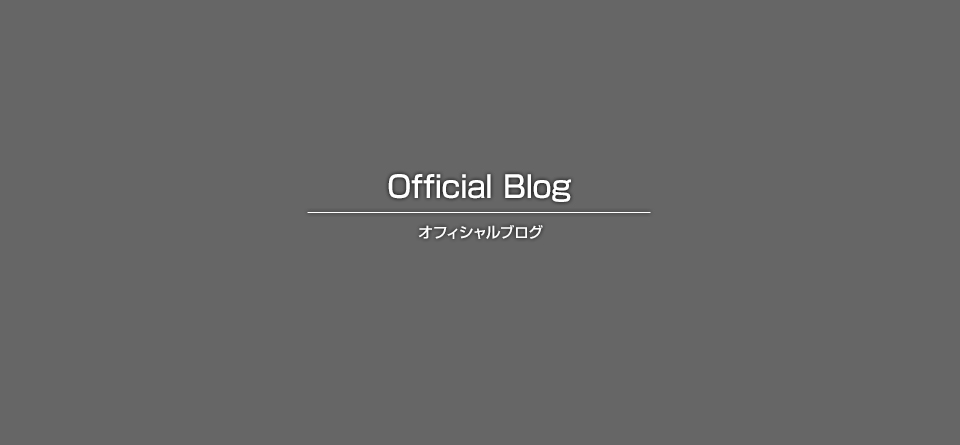 某駅高架橋他